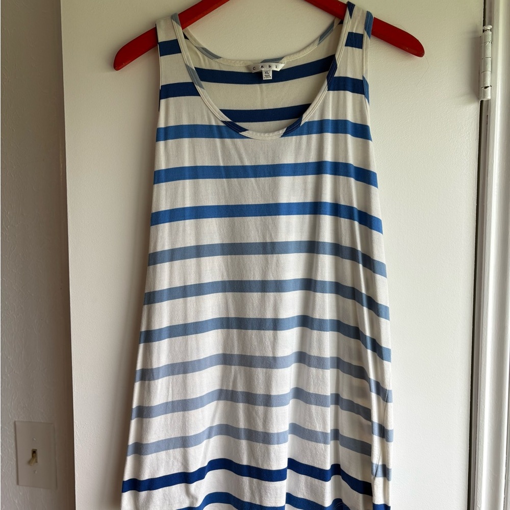 CAbi Striped Blue and White Tank Top
